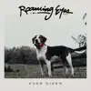 Roaming Eyes - Ever Given - EP